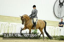 24BUCK_07396 thumbnail