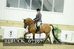 24BUCK_07397 thumbnail