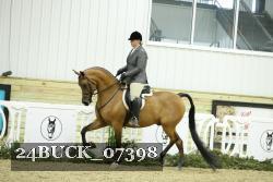 24BUCK_07398 thumbnail