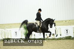 24BUCK_07413 thumbnail