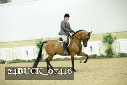 24BUCK_07416 thumbnail