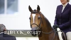 24BUCK_07427 thumbnail