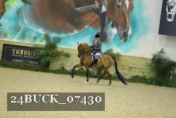 24BUCK_07430 thumbnail