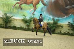 24BUCK_07431 thumbnail