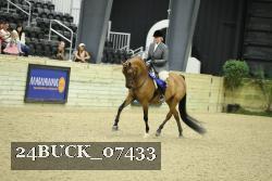 24BUCK_07433 thumbnail