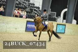 24BUCK_07434 thumbnail