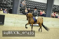 24BUCK_07435 thumbnail