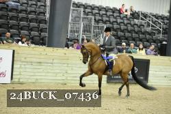 24BUCK_07436 thumbnail