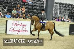 24BUCK_07437 thumbnail