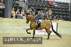 24BUCK_07438 thumbnail