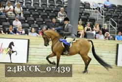 24BUCK_07439 thumbnail