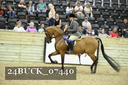 24BUCK_07440 thumbnail