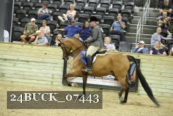 24BUCK_07443 thumbnail