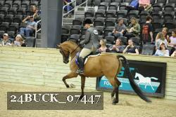 24BUCK_07447 thumbnail