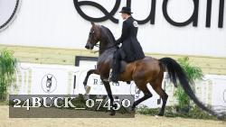 24BUCK_07450 thumbnail