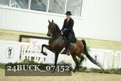24BUCK_07452 thumbnail
