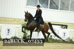 24BUCK_07453 thumbnail