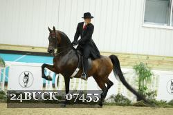 24BUCK_07455 thumbnail