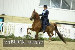 24BUCK_07457 thumbnail