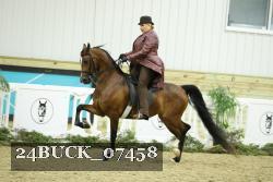 24BUCK_07458 thumbnail