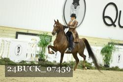 24BUCK_07459 thumbnail