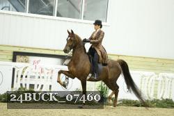 24BUCK_07460 thumbnail