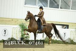 24BUCK_07461 thumbnail