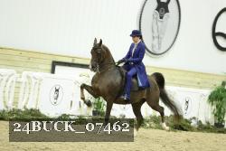 24BUCK_07462 thumbnail