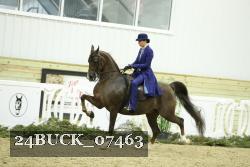 24BUCK_07463 thumbnail