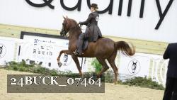 24BUCK_07464 thumbnail