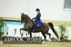 24BUCK_07465 thumbnail