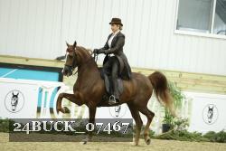 24BUCK_07467 thumbnail