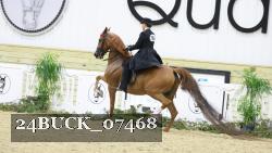 24BUCK_07468 thumbnail