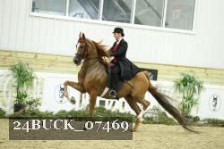 24BUCK_07469 thumbnail
