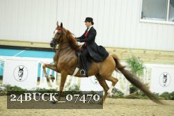24BUCK_07470 thumbnail