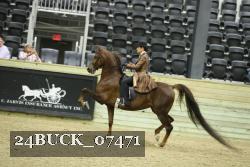 24BUCK_07471 thumbnail