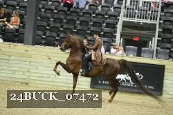 24BUCK_07472 thumbnail