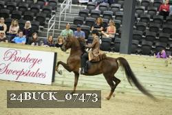 24BUCK_07473 thumbnail