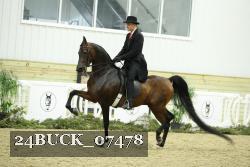 24BUCK_07478 thumbnail