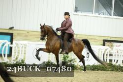 24BUCK_07480 thumbnail