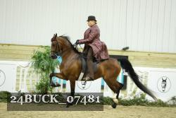 24BUCK_07481 thumbnail