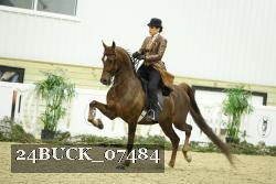 24BUCK_07484 thumbnail
