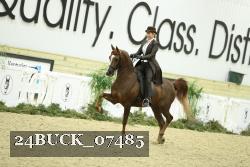 24BUCK_07485 thumbnail