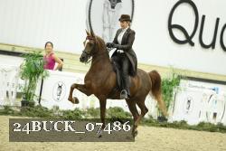 24BUCK_07486 thumbnail