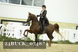 24BUCK_07487 thumbnail