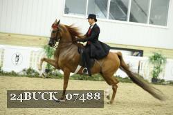 24BUCK_07488 thumbnail