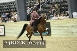 24BUCK_07499 thumbnail