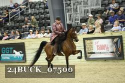 24BUCK_07500 thumbnail