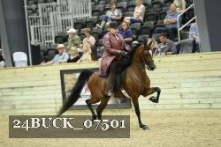 24BUCK_07501 thumbnail