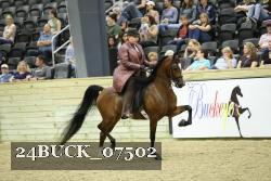 24BUCK_07502 thumbnail